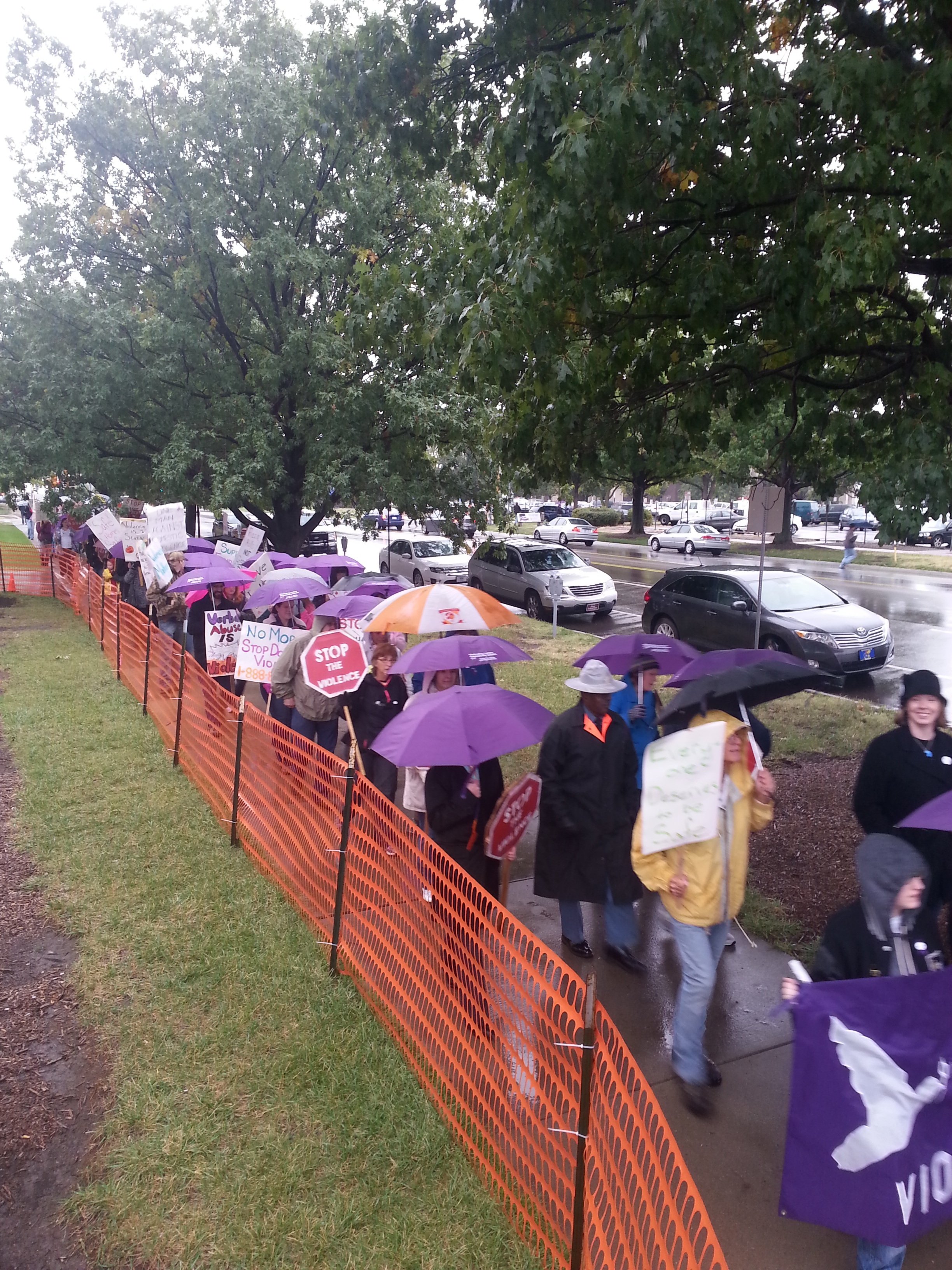 Domestic Violence Rally 1