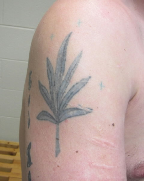 Kerth tattoo upper arm