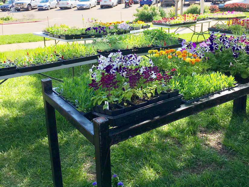 Topeka Correctional Facility's annual plant sale starts May 6