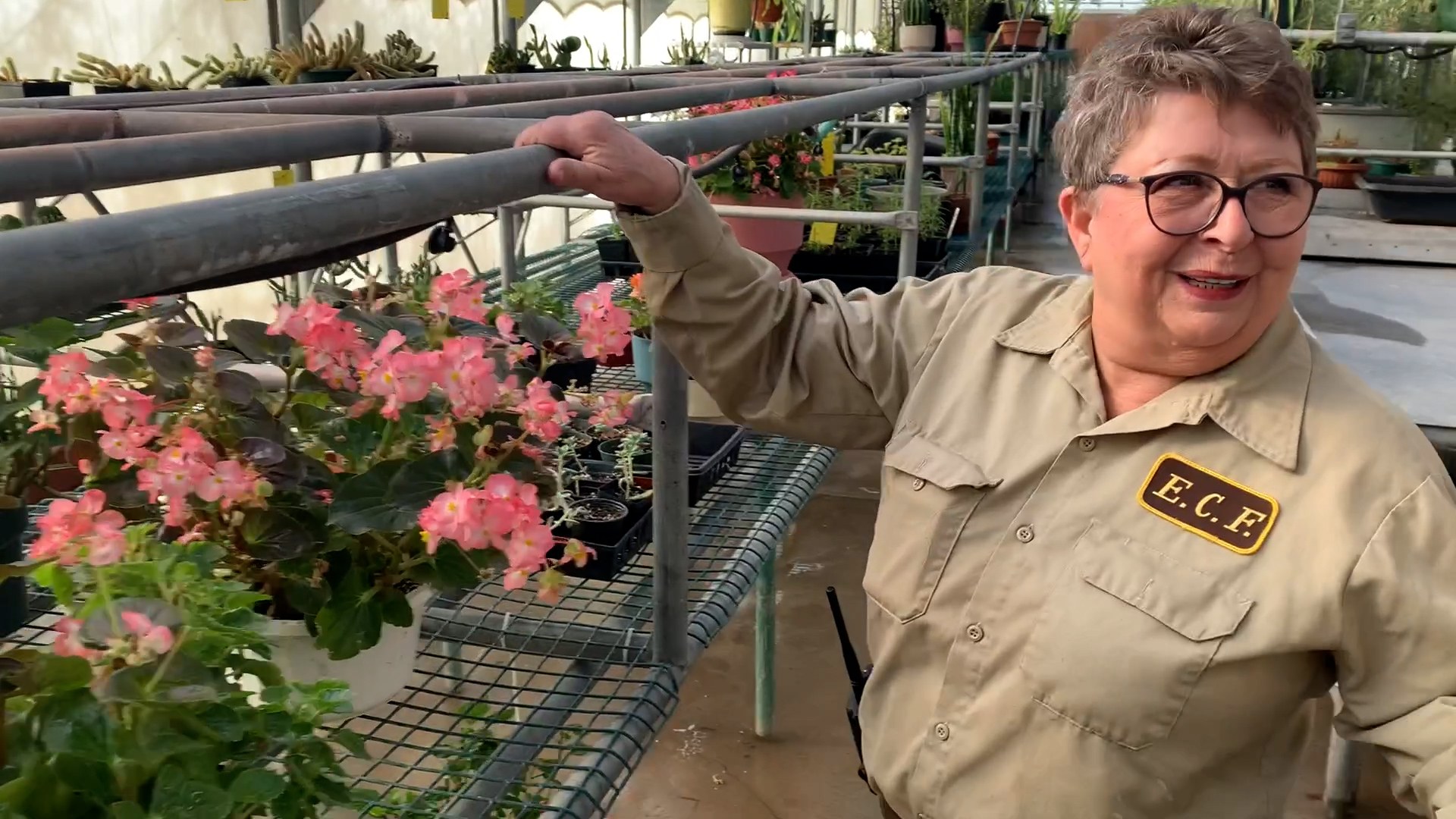 Staff stories: Linda Graves 999