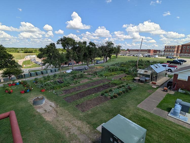 YouTuber Visits WCF Garden 07 10 26